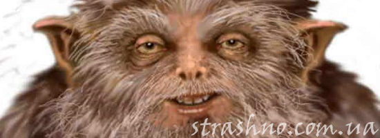 мохнатый домовой