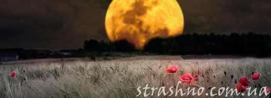 Проклятие за потревоженные могилы