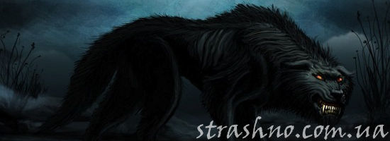 чёрный волк