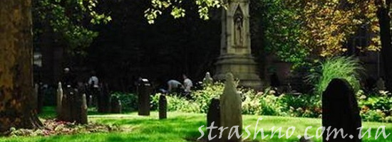 мистика кладбище летом