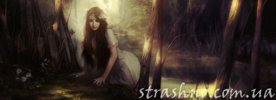 мистика фея в заповедном лесу