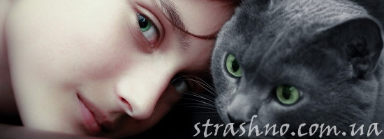 мистика похожие девочка с кошкой