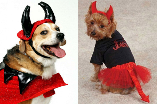 костюмы для животных на Halloween