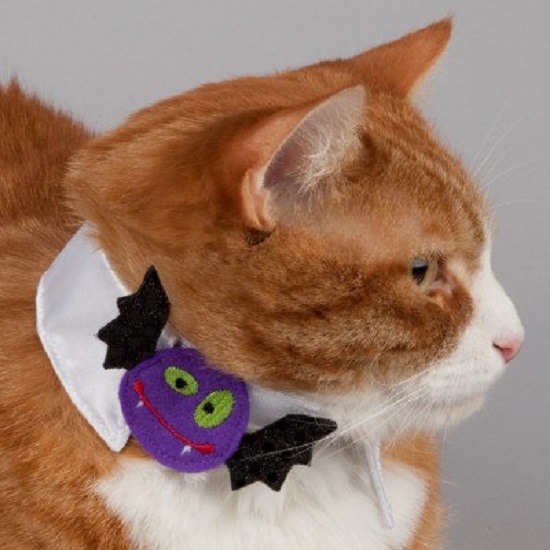 костюмы для животных на Halloween