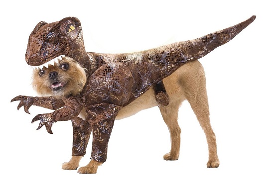 костюмы для животных на Halloween