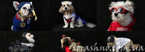 костюмы животных на Halloween