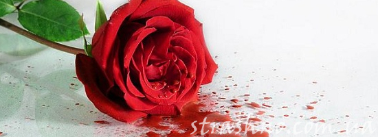 мистика кровавая роза