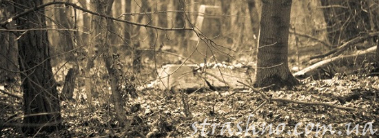 Старая могила