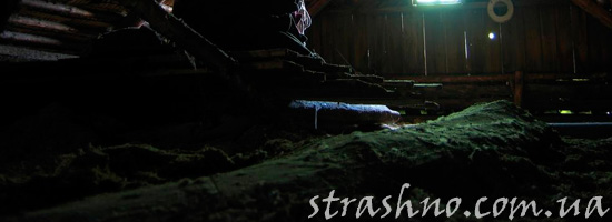 Ночью на крыше