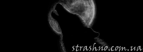 Выть на луну