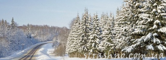 мистика дорога в зимнем лесу