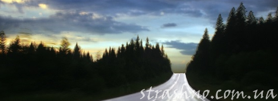 мистика лесная дорога ночью