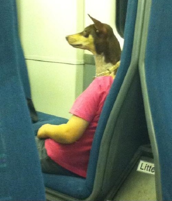 иллюзия девушка-собака