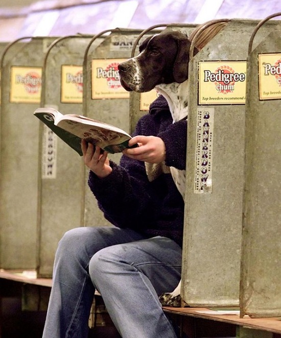 иллюзия девушка-собака