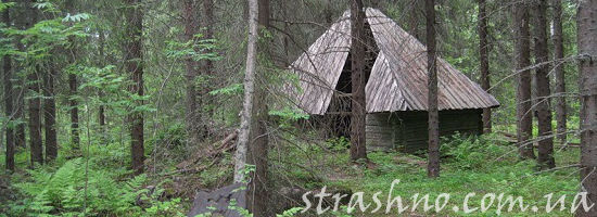 сарай в лесу