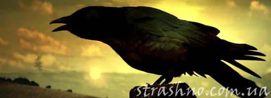 мистика каркающий ворон