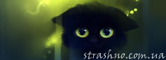 мистика зеленоглазый котик