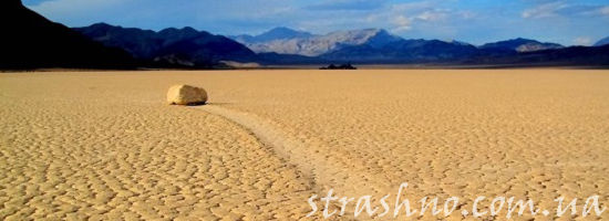 живые камни Долины Смерти