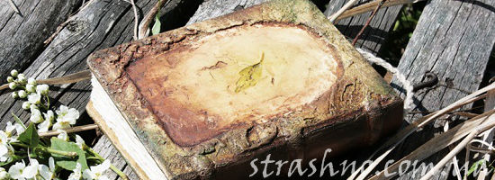 колдовская книга