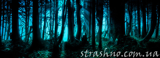 Жуткий лес