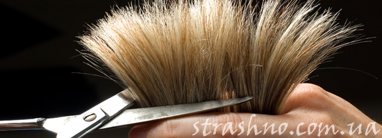 Работа профессионального парикмахера