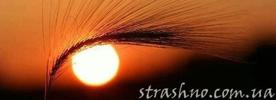 глаз родного края