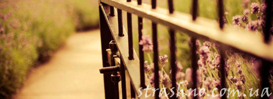 Открытая калитка