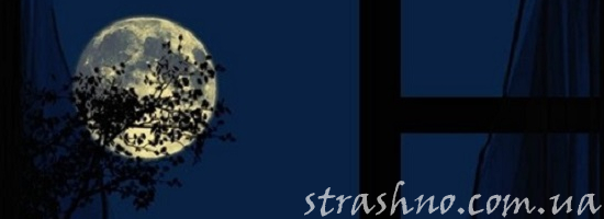 луна в окне