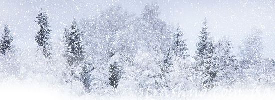 вьюга снежная метель 