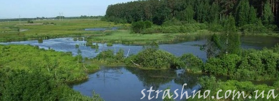 мистика трава у болота