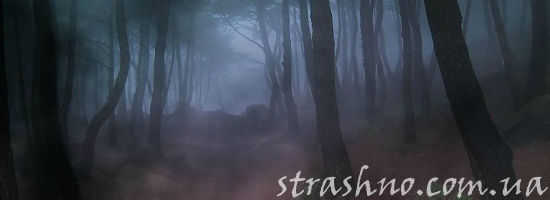 страшный лес