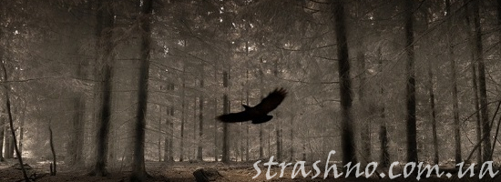 лесной ворон