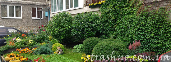 полисадник многоэтажки