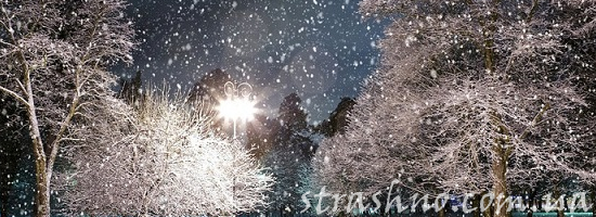 падающий снег ночью