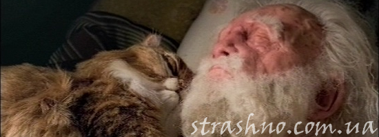 старый дед с котом