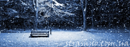 скамейка в зимнем парке