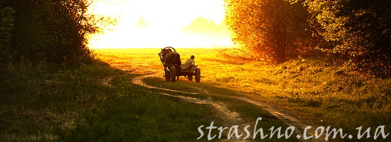 телега на дороге