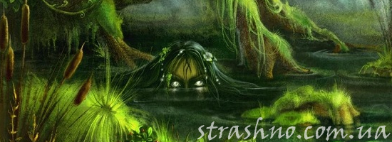 кикимора болотная