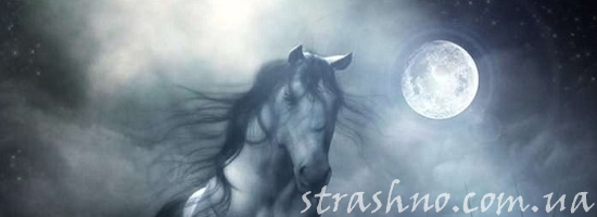 лошадь лунной ночью