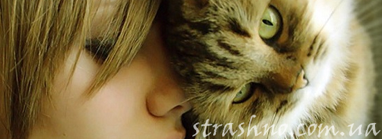 девушка и кот