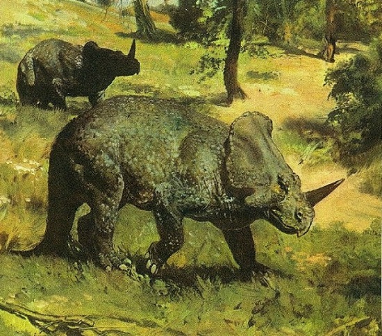 Эмела-нтука