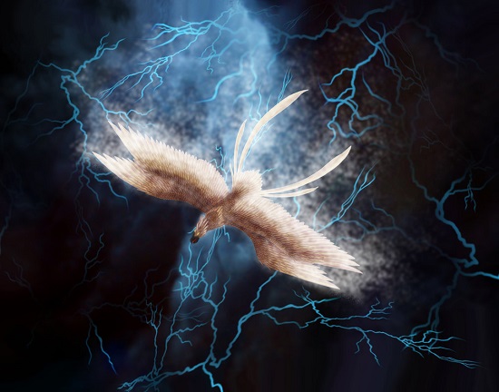 грозовая птица импундулу