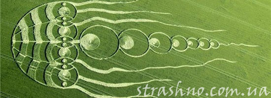 круги на полях