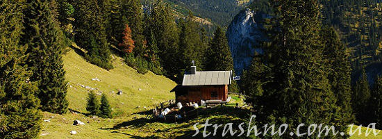 домик на бугре у леса