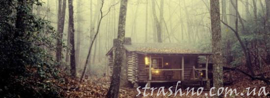 лесной домик