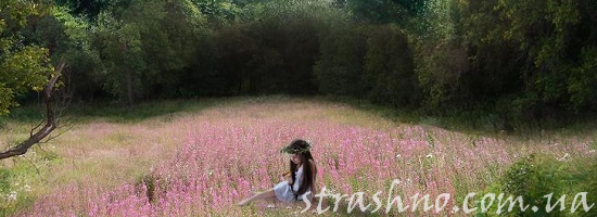 болотная поляна