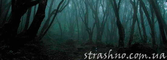 Мрачный лес