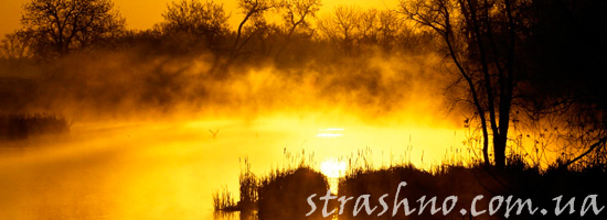 Вечер на болоте