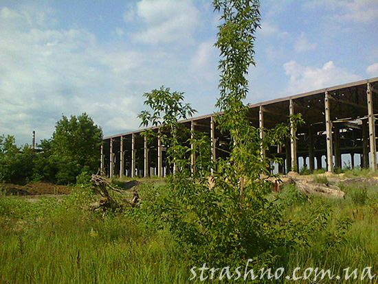 Вид сбоку на то же строение