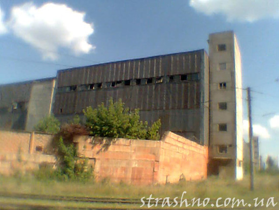 За три года до этого